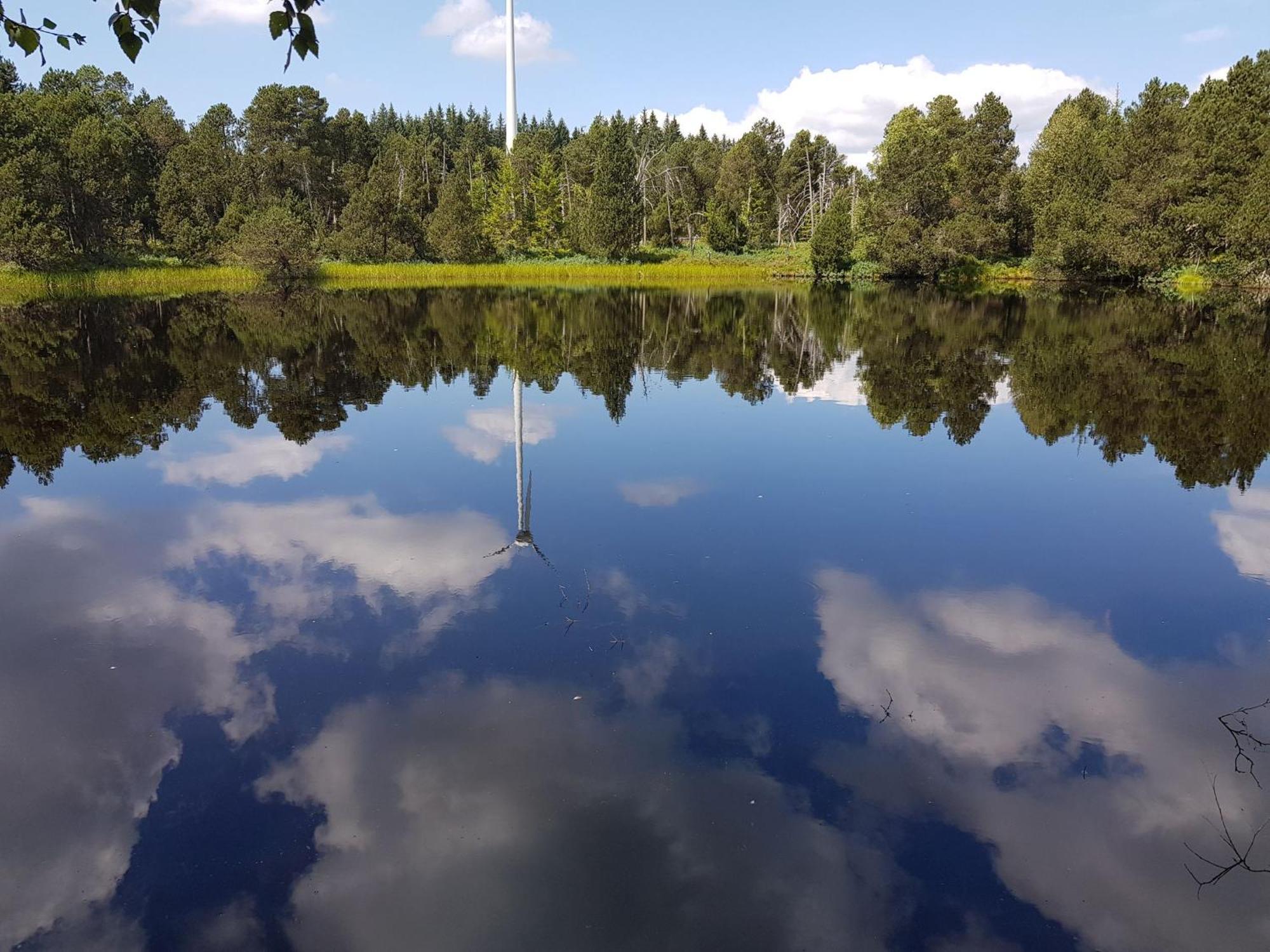 Ferienwohnungen Schoenwald Exteriör bild